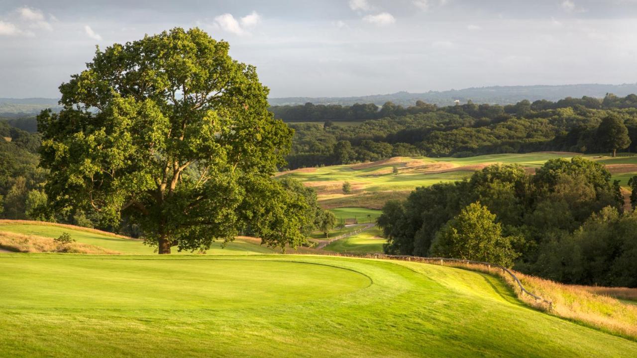 Dale Hill Hotel Ticehurst المظهر الخارجي الصورة